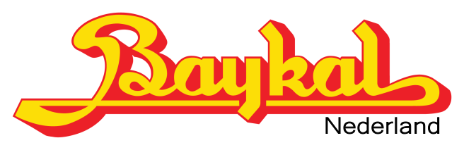 Baykal logo