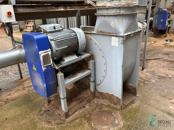 Disa HOU10.345 5 17866