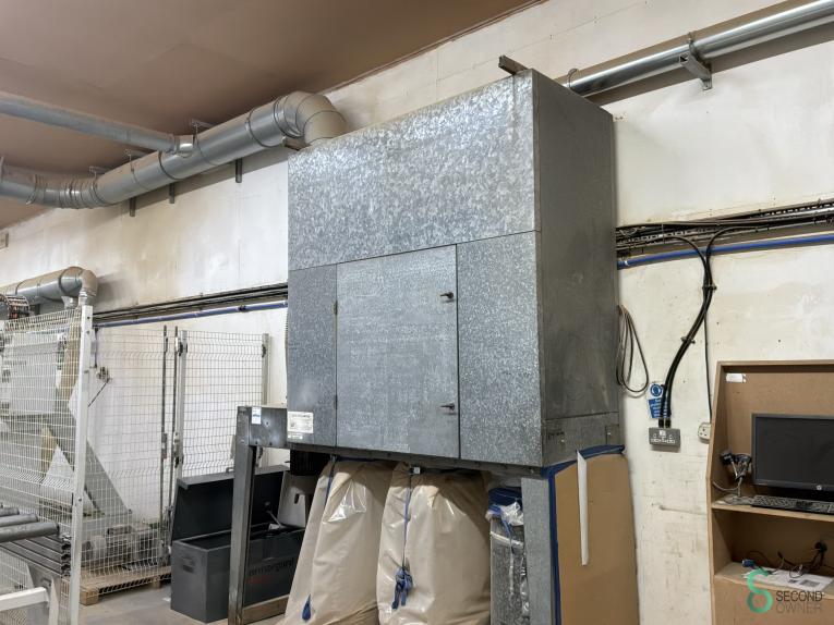 Air plants HOU10.474 16 18024