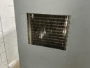 Atlas Copco GA 22 FF BOU11.368 40 19217