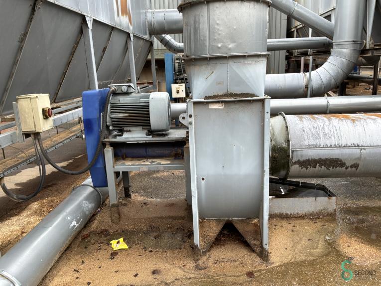 Disa HOU10.352 59 17871