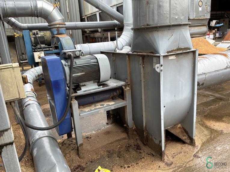 Disa HOU10.352 77 17871