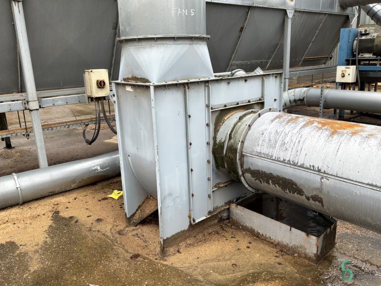 Disa HOU10.352 76 17871