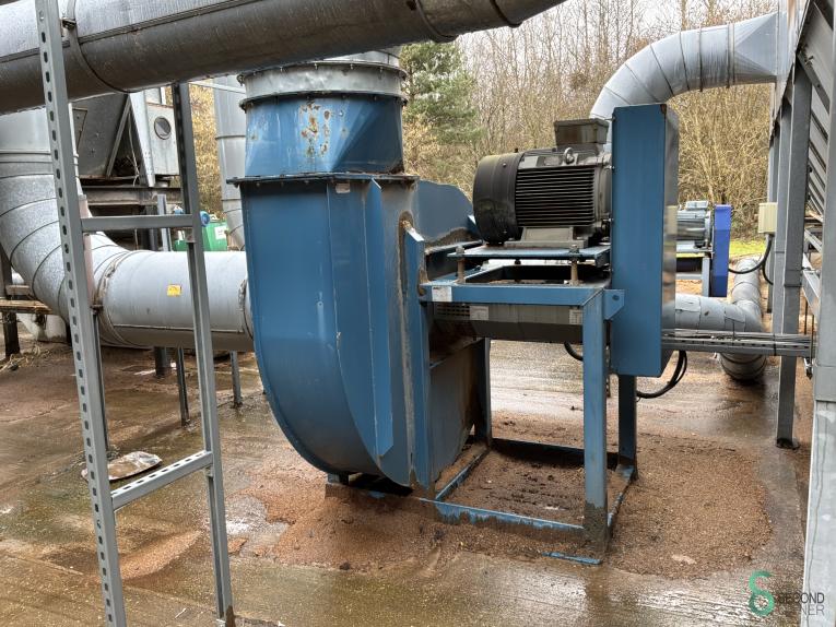 Disa HOU10.352 79 17871