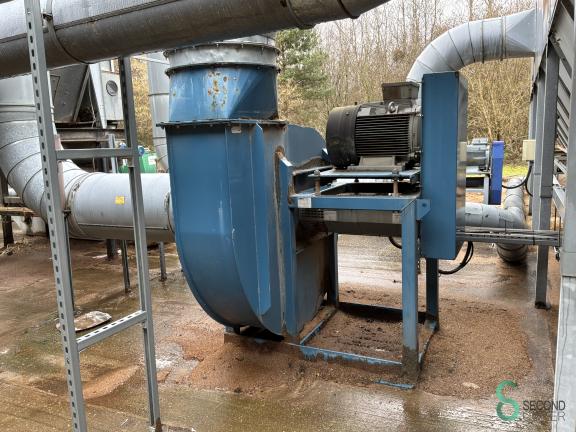 Disa HOU10.352 25 17871