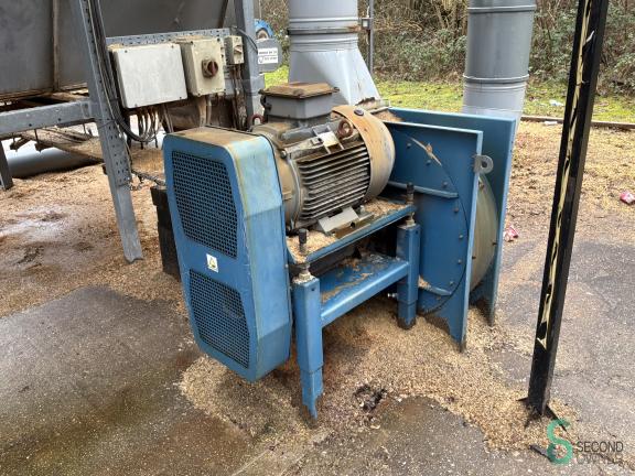 Disa HOU10.352 13 17871