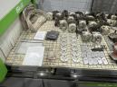 Biesse Skill 12.24 G FT HOU.2479 117 1526